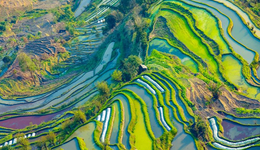宝妈必备神器：鱼峰区产品视频拍摄轻松育儿好帮手